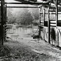 barn ghosts